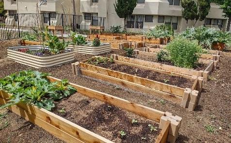 Food garden image