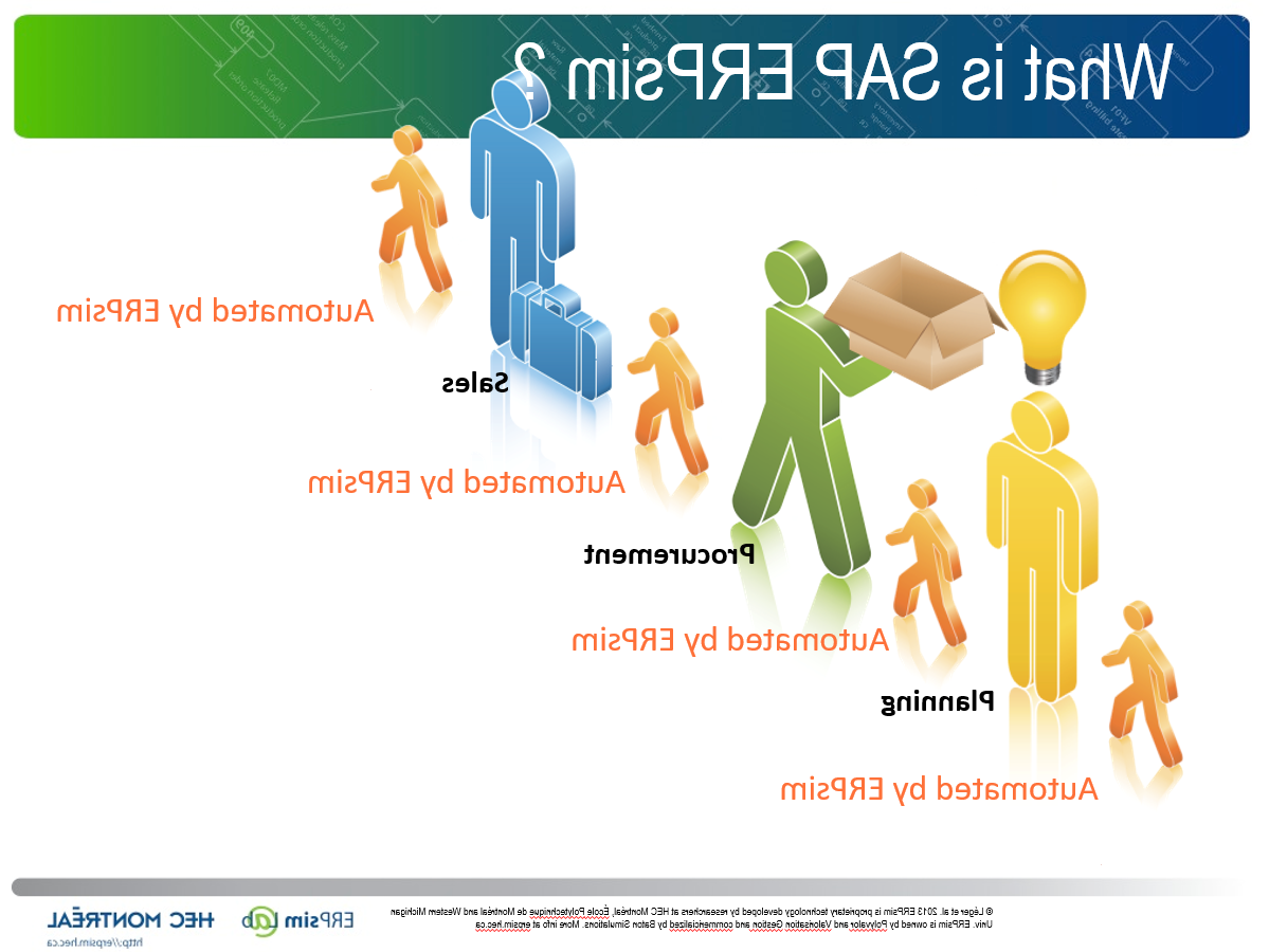 SAP ERPsim