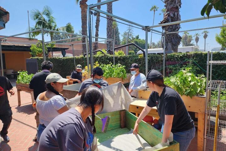 GEM students working at Pine Tree preschool 2023