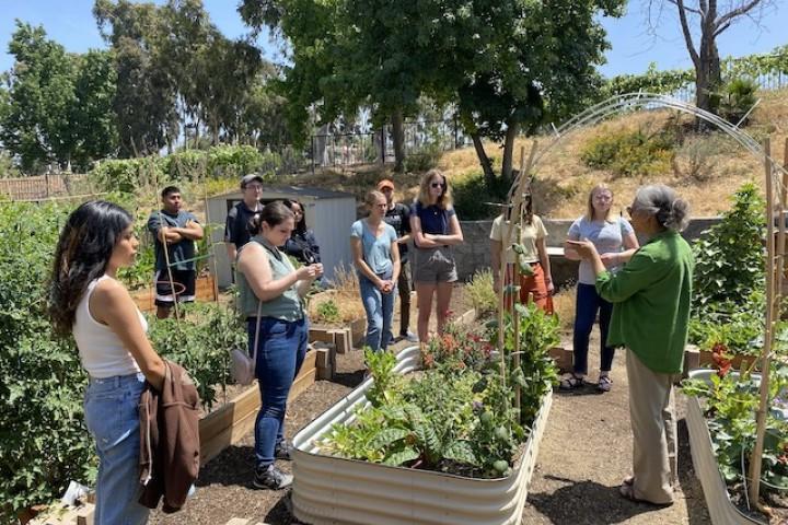 Cal State LA students at the Urban Garden