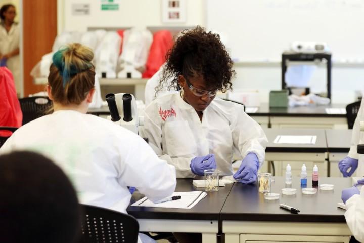 学生 in forensic lab testing samples